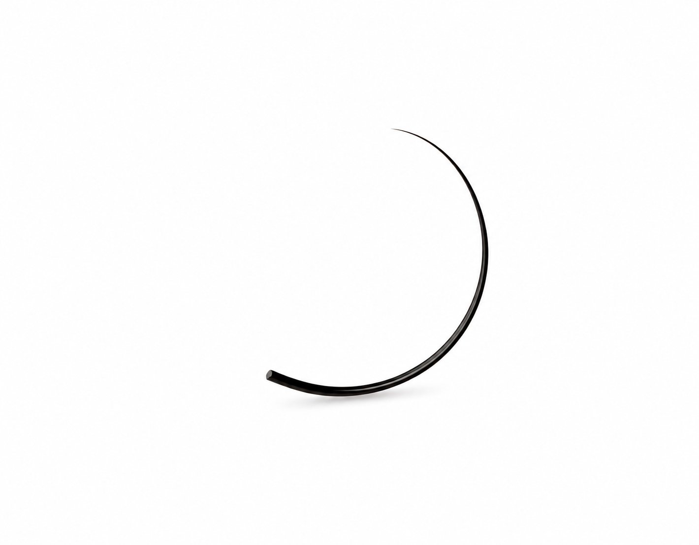 D Curl lash sample